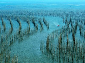 挂名担任某公司的法人代表,一旦公司发生破产倒闭或法律上的纠纷,挂名的法人代表需要承担什么责任?