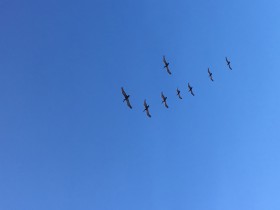 中概股回归路径全解析(下篇)——“私有化+直接IPO”和CDR