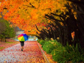 从“银协怼基协”事件浅析私募基金托管人的职责边界