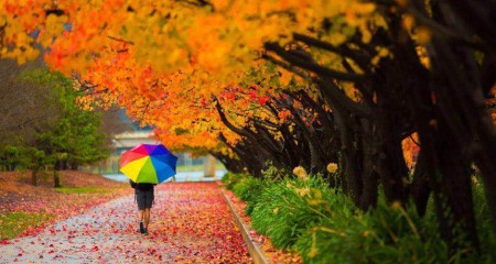 从“银协怼基协”事件浅析私募基金托管人的职责边界