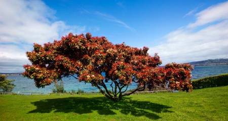 各地创投机构鼓励和扶持政策汇总（上篇）——直辖市篇