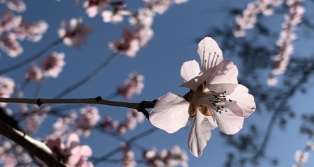 各地创投机构鼓励和扶持政策汇总（下篇）——江浙粤篇