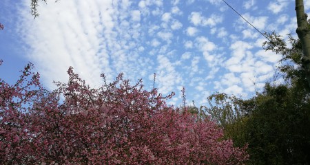 私募基金行业法律动态（2019年2-3月/总第14期）