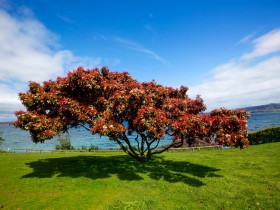 浅析有限合伙型私募基金份额代持