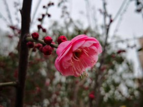 邦信阳中建中汇律师事务所创始人丁晓文律师的评价