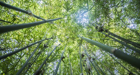 Earn-out机制下转让方风险控制