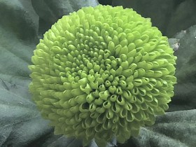 私募基金行业法律动态(2020年10月/总第32期)