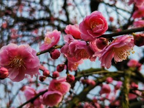 私募基金行业2020年度监管政策汇总