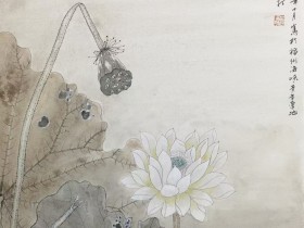 私募投资案例故事:投资迷雾:揭秘私募基金背后的真相